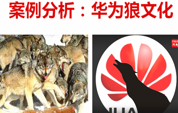 3、郭?老师安徽皖信分享《熔炼团队，超越?》?程?例分?为企业文化_?.png